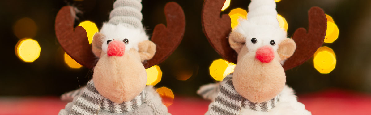 titulkavanoce2 titulkavanoce2