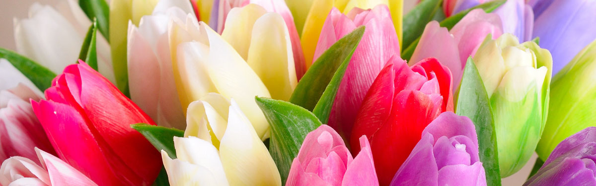 titulka 13 titulka 13